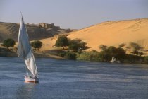 Felucca en el Nilo - foto de stock
