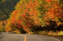 Herbstfarbe und Landstraße — Stockfoto