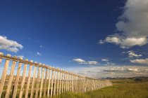 Деревянный забор и зеленые пастбища — стоковое фото