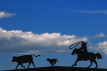 Silhouette Of Rancher Roping — Stock Photo