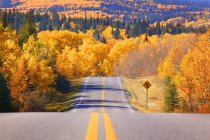 Autostrada panoramica con alberi — Foto stock