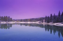 Зимова сцена з озером — стокове фото