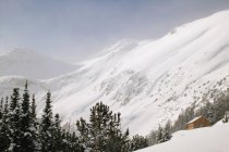 Scène de montagne avec neige — Photo de stock