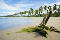 Isla Tropical con playa de arena - foto de stock