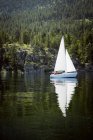 Sailboat in water with reflection — Stock Photo