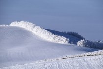 Winterlandschaft mit Bäumen — Stockfoto