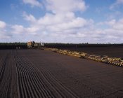 Производство травы с комбайнами — стоковое фото