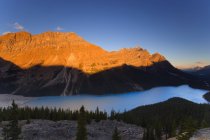 Lac Peyto à Banff — Photo de stock