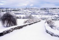 Сніг накривав Долина — стокове фото
