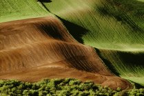 Зеленые и коричневые холмы — стоковое фото