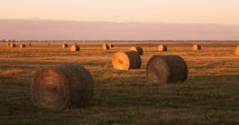 Fields With Hay Bales — Stock Photo