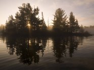 Деревья, отраженные в озере — стоковое фото