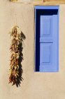 Blaues Fenster und Chilischoten — Stockfoto