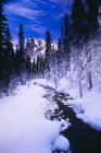Поток и гора зимой — стоковое фото