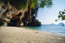 Sandy beach with tropical trees — Stock Photo