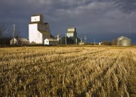 Зерновые лифты и поле — стоковое фото