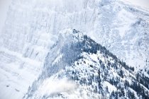 Заснеженные горы — стоковое фото