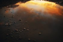 Отражение неба в луже — стоковое фото