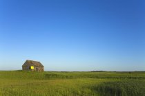 Old Farm Shed, Dakota del Nord, Usa — Foto stock