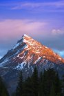 Sommet de la montagne au Mont Chephren — Photo de stock