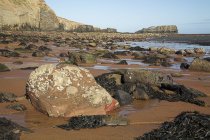 Песчаный пляж с растениями и камнями — стоковое фото