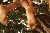 Дети лазят по деревьям — стоковое фото
