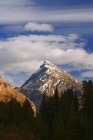 Горная вершина горы Чефрен — стоковое фото