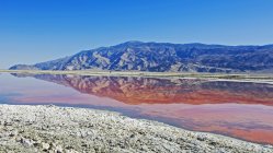 Reflexión de montaña en algas del lago Owens - foto de stock