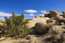 Terreno roccioso con pietre e attrice — Foto stock