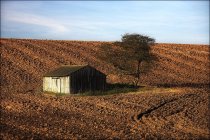 Hütte und Baum auf dem Feld — Stockfoto