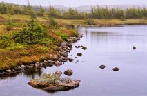 Litoral de lagoa na Terra Nova — Fotografia de Stock