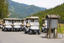 Carrinhos de golfe estacionados — Fotografia de Stock