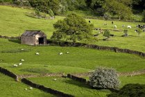 Granero en Derbyshire, Inglaterra - foto de stock