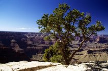 Grand Canyon bei Colorado — Stockfoto