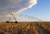 Irrigação de Sprikler no campo — Fotografia de Stock