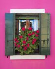 Pared rosa y persianas verdes - foto de stock