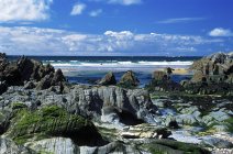 Vista sulla spiaggia rocciosa — Foto stock
