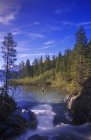 Scena Natura con lago — Foto stock