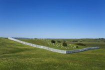 Cimitero sopra il campo verde — Foto stock