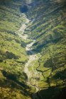 Дождевые леса Амазонки в Перу — стоковое фото