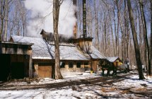Sugar House In Woods — Stock Photo