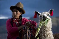 Peruvian Woman In Traditional Clothing With Llama In Cuzco, Peru — Stock Photo
