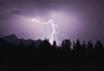 Blitz schlägt über Wald ein — Stockfoto