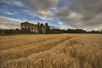 Будівля з полем пшениці — стокове фото