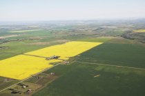 Aerial Of Flowering Canola Fields — Stock Photo