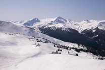 Зимові гори у Вістлері — стокове фото