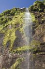 Водоспад у Milford Sound — стокове фото