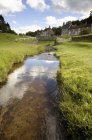Stream By A Village — Stock Photo