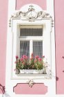 Fenêtre décorative avec boîte à fleurs — Stock Photo
