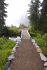 Fußgängerbrücke, Mount Rainier Nationalpark — Stockfoto